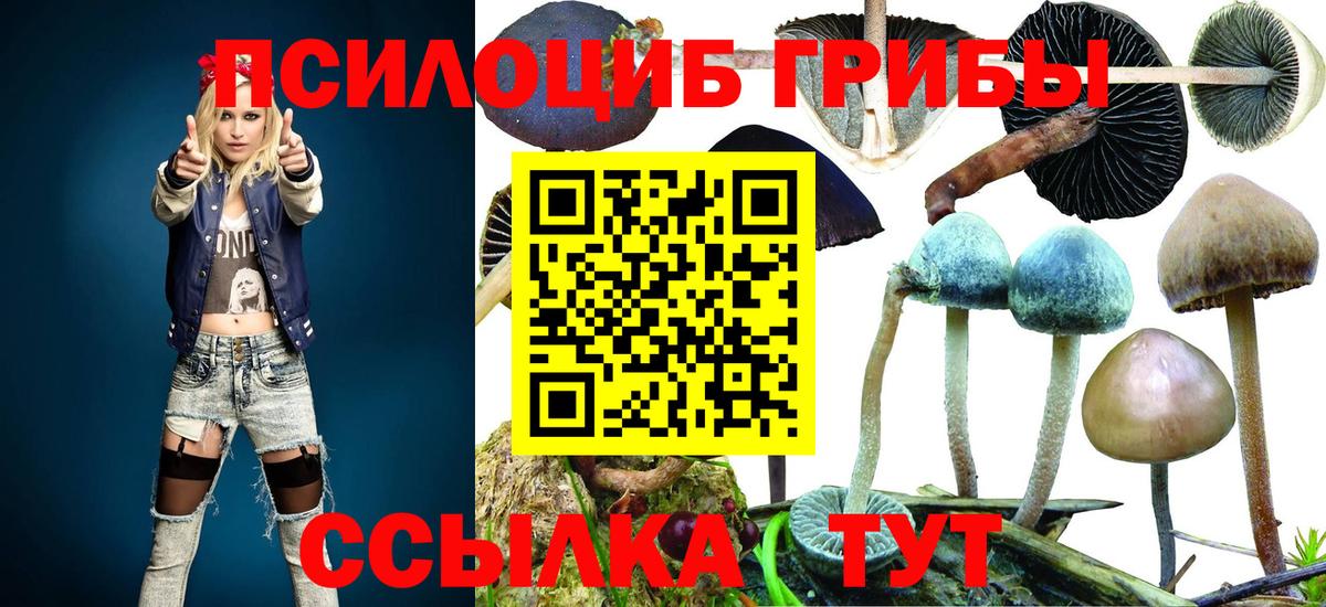 Псилоцибиновые грибы Psilocybine cubensis Урюпинск